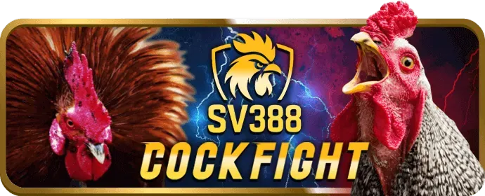 Giấy phép và quy định cá cược 799bet